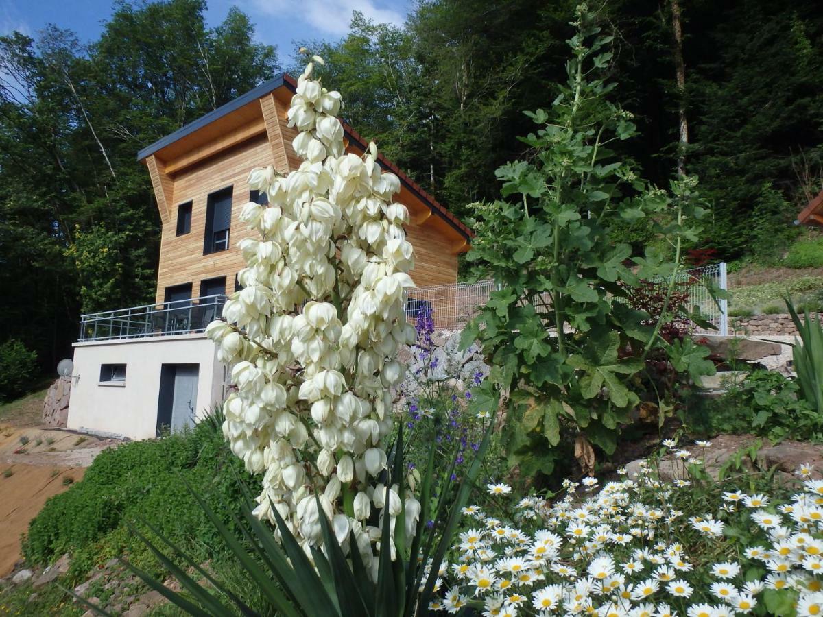 Villa Cora Venez Neuve Avec Spa Saint-Bresson Exterior photo